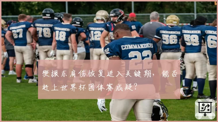 樊振东肩伤恢复进入关键期，能否赶上世界杯团体赛成疑？