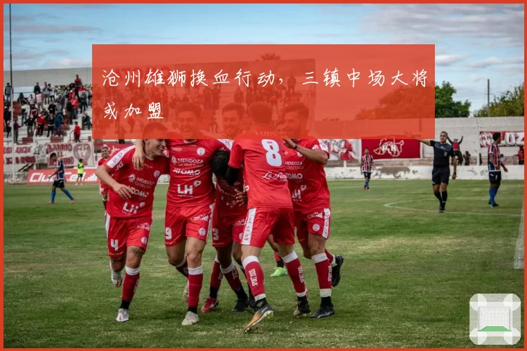 沧州雄狮换血行动,三镇中场大将或加盟