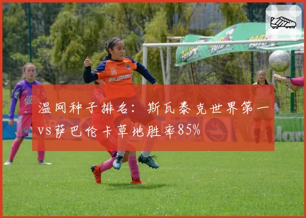 温网种子排名：斯瓦泰克世界第一vs萨巴伦卡草地胜率85%